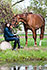 Konzentrative Bewegungs- und Reittherapie 14053 Berlin