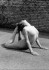  Daniela Jansen, Yogalehrerin AYA (AYW - staatl. anerkannt) in 50674 Köln