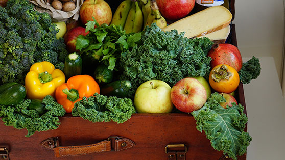 frisches Obst und Gemüse in möglichst vielen bunten Farben bildet die Basis einer ausgewogenen Ernährung