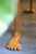 15695-1635680402.jpg