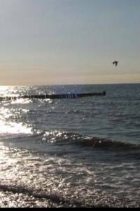  Gabriele Schossig, Heilpraktiker für Psychotherapie in 39387 Oschersleben