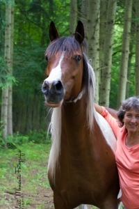  Gerhilde Müller, Coach in 75447 Sternenfels