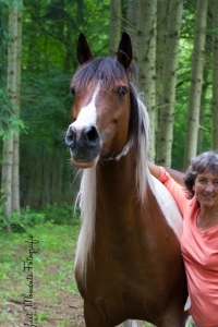  Gerhilde Müller, Coach in 75447 Sternenfels