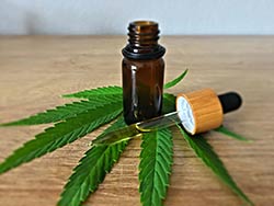 Cannabidiol (CBD) aus der Hanfpflanze