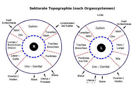 sektorale topographie