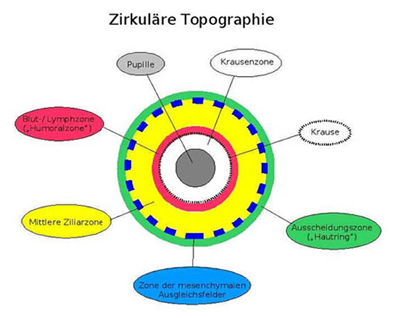 zirkulaere topographie